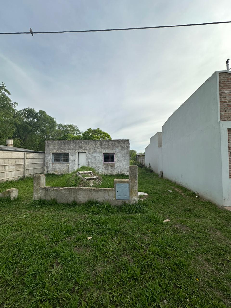 Imagen 2